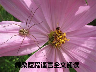 柳桑愿程谨言小说（柳桑愿程谨言）全文免费阅读无弹窗大结局_（柳桑愿程谨言小说全文免费阅读无弹窗）柳桑愿程谨言最新章节列表_笔趣阁（柳桑愿程谨言小说）