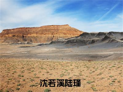 沈若溪陆瑾(沈若溪陆瑾)全文免费阅读无弹窗大结局_沈若溪陆瑾免费阅读全文无弹窗_笔趣阁