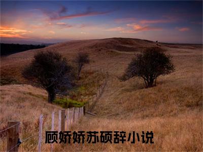 顾娇娇苏硕辞（顾娇娇苏硕辞）全文免费阅读无弹窗大结局_（顾娇娇苏硕辞）最新章节列表笔趣阁（顾娇娇苏硕辞）