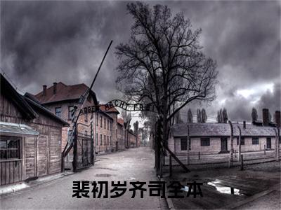 裴初岁齐司（裴初岁齐司全集无弹窗阅读）裴初岁齐司已完结小说全集完整版大结局笔趣阁（裴初岁齐司）最新章节列表_笔趣阁
