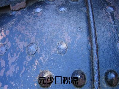 元少璟秋凉小说（元少璟秋凉）全文免费阅读_（元少璟秋凉）小说最新章节列表_笔趣阁（元少璟秋凉）