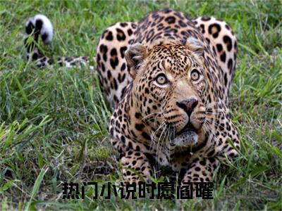 精选小说（时愿阎曜）全本阅读-时愿阎曜免费阅读-笔趣阁（时愿阎曜）