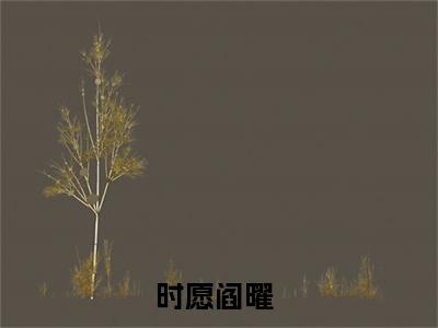 时愿阎曜小说(时愿阎曜)全文免费阅读无弹窗大结局_(时愿阎曜免费阅读全文大结局)最新章节列表_笔趣阁（时愿阎曜）