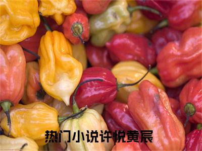 许悦黄宸（大结局小说全集完整版）许悦黄宸小说_许悦黄宸全文阅读笔趣阁
