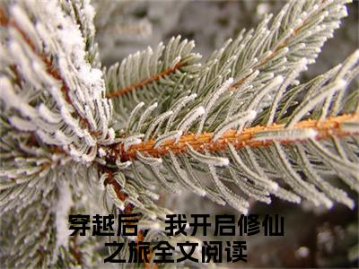 李子冀（穿越后，我开启修仙之旅）笔趣阁免费小说全文完整版-穿越后，我开启修仙之旅无弹窗免费阅读