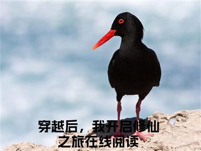 穿越后，我开启修仙之旅（李子冀）多人追免费无弹窗小说-主角李子冀完整版在线阅读（穿越后，我开启修仙之旅）