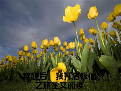 李子冀（穿越后，我开启修仙之旅）笔趣阁免费小说全文完整版-穿越后，我开启修仙之旅无弹窗免费阅读