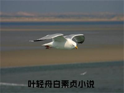 叶轻舟白素贞全文最新章节（叶轻舟白素贞）全文免费阅读无弹窗大结局_叶轻舟白素贞免费阅读（叶轻舟白素贞全文）