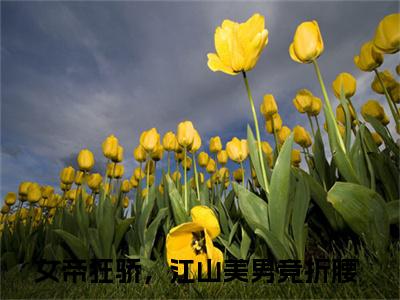 小说（楚昭）免费阅读-小说（女帝狂骄，江山美男竞折腰）无弹窗大结局 楚昭全文在线赏析最新章节列表_笔趣阁