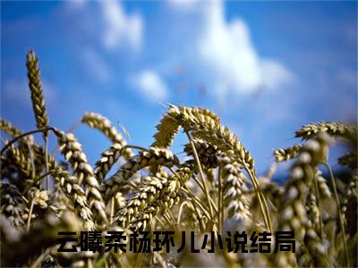 云曦柔杨环儿精选小说大结局阅读-最新小说(云曦柔杨环儿)全文阅读