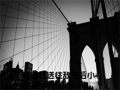 裴寂林宛如（被丞相送往敌国后）全文免费阅读无弹窗大结局_（被丞相送往敌国后无弹窗）_笔趣阁