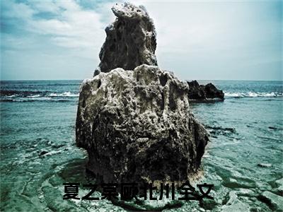 夏之棠顾北川免费阅读无弹窗（夏之棠顾北川）全文免费阅读无弹窗大结局_(夏之棠顾北川)夏之棠顾北川最新章节列表_笔趣阁（夏之棠顾北川）