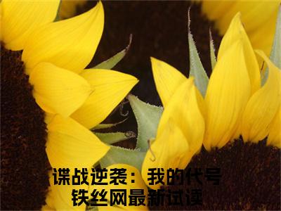 刘长川王奎：谍战逆袭：我的代号铁丝网（谍战逆袭：我的代号铁丝网）全文免费阅读无弹窗大结局_（刘长川王奎）谍战逆袭：我的代号铁丝网最新章节列表笔趣阁（刘长川王奎：谍战逆袭：我的代号铁丝网）