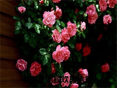 谢颖欢周承恩（谢颖欢周承恩）免费阅读全本资源-热门新书谢颖欢周承恩在线阅读