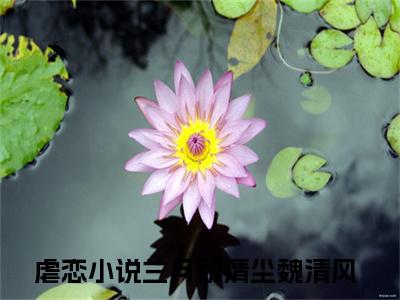 兰月魏清尘魏清风全文免费阅读_兰月魏清尘魏清风最新小说_笔趣阁