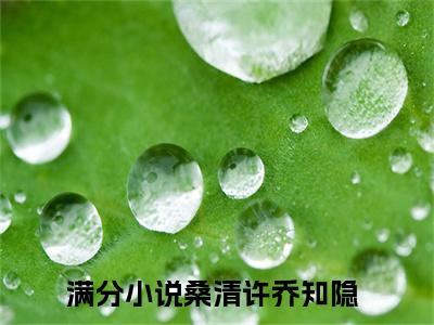 桑清许乔知隐（桑清许乔知隐）大结局免费小说无弹窗-桑清许乔知隐完整版阅读-笔趣阁