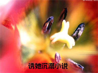 叶明浅池言琛（诱她沉溺）全文无弹窗大结局_叶明浅池言琛小说最新章节列表