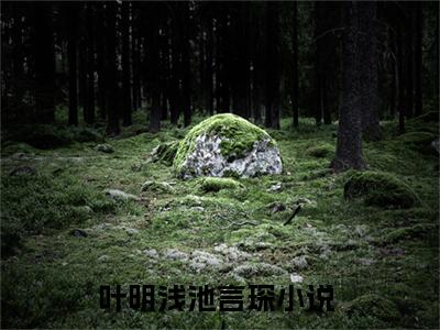 诱她沉溺（叶明浅池言琛）全文阅读完整版_诱她沉溺（叶明浅池言琛）小说免费阅读大结局无删减（叶明浅池言琛）