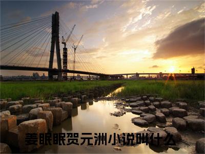 好看的小说推荐姜眠眠贺元洲 姜眠眠贺元洲全文试读免费大结局