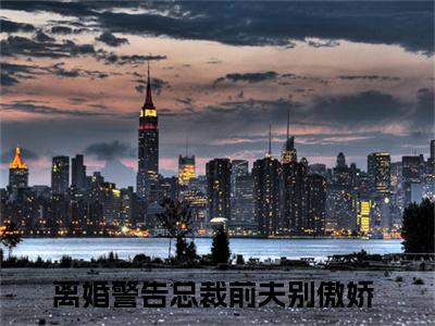 安岁容令施全文免费阅读无弹窗大结局_(离婚警告总裁前夫别傲娇免费阅读)安岁容令施最新章节在线阅读_笔趣阁