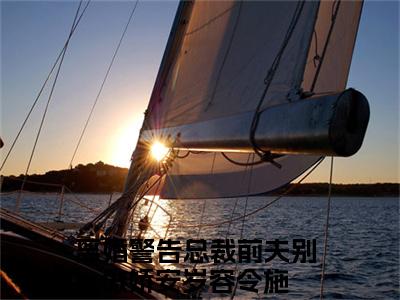（安岁容令施）是什么小说-离婚警告总裁前夫别傲娇全文免费阅读无弹窗大结局（安岁容令施）最新章节列表_笔趣阁