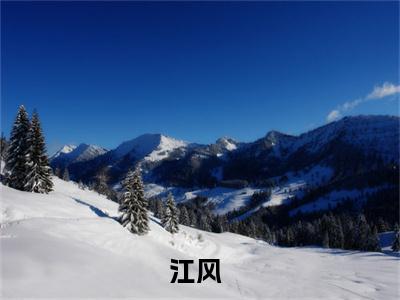 江风我都成虎王了，系统才激活小说在哪里可以看 我都成虎王了，系统才激活免费在线阅读