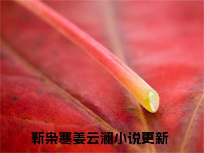 靳枭寒姜云澜（靳枭寒姜云澜）全文免费阅读无弹窗大结局_靳枭寒姜云澜热门小说最新章节阅读
