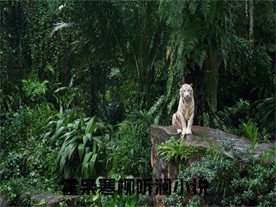 霍枭寒柳听澜全文小说-霍枭寒柳听澜小说最新章节免费阅读