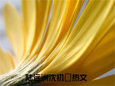 陆远洲沈初婳（陆远洲沈初婳）全文免费阅读-（陆远洲沈初婳无弹窗阅读）最新章节小说免费阅读