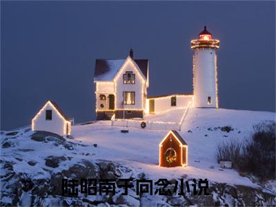 陆昭南于向念（陆昭南于向念）全文免费阅读_（陆昭南于向念）最新章节列表笔趣阁