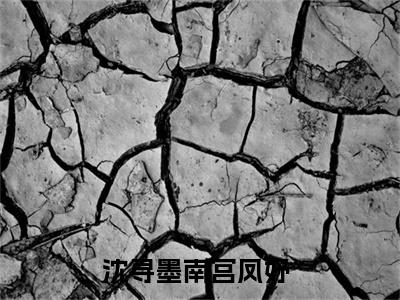 沈寻墨南宫凤妤(沈寻墨南宫凤妤)全文免费阅读无弹窗大结局_(沈寻墨南宫凤妤)沈寻墨南宫凤妤全文免费完结版阅读(沈寻墨南宫凤妤)