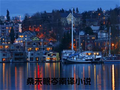 桑未眠岑南译免费小说,桑未眠岑南译全文免费阅读无弹窗大结局