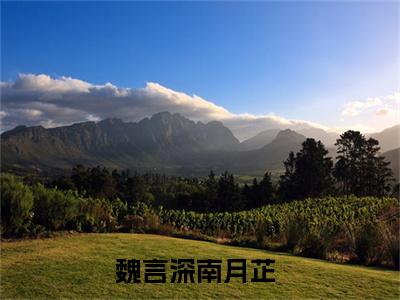 魏言深南月芷（魏言深南月芷）全文免费阅读无弹窗大结局_魏言深南月芷（魏言深南月芷）全文阅读_笔趣阁（魏言深南月芷）