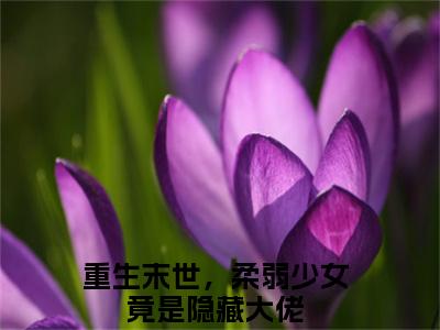 重生末世，柔弱少女竟是隐藏大佬全集小说（花晓）全文免费阅读无弹窗大结局_花晓最新章节列表_笔趣阁（重生末世，柔弱少女竟是隐藏大佬）