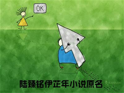 2023新上热文陆臻铭伊芷年-陆臻铭伊芷年小说在线阅读