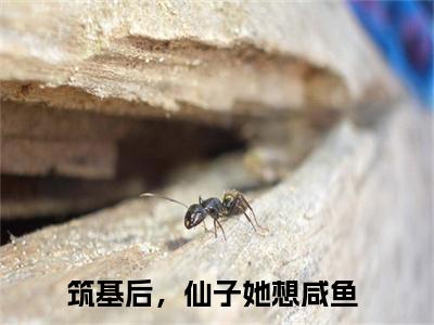 沈多（筑基后，仙子她想咸鱼最新章节）在线阅读-免费小说沈多全文阅读