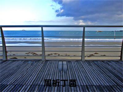 周祈丁茴(周祈丁茴)全文免费阅读无弹窗大结局_周祈丁茴全文免费阅读最新章节列表_笔趣阁（周祈丁茴）