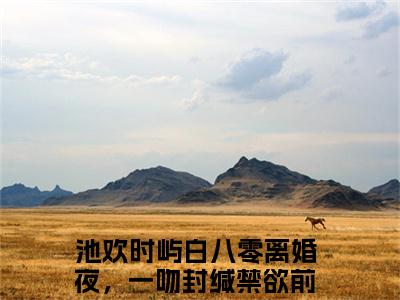 池欢时屿白（八零离婚夜，一吻封缄禁欲前夫池欢时屿白）全文免费阅读无弹窗大结局_池欢时屿白在线阅读（八零离婚夜，一吻封缄禁欲前夫池欢时屿白）