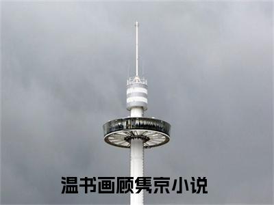 那颗糖，甜了我整整十年在线阅读（温书画顾隽京）全文免费阅读无弹窗大结局_ (那颗糖，甜了我整整十年全文免费阅读)最新章节列表_笔趣阁（温书画顾隽京）