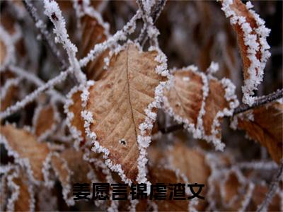 我才不要喜欢他呢（姜愿言锦）的小说完整版免费阅读 主角是（我才不要喜欢他呢）姜愿言锦无弹窗免费阅读