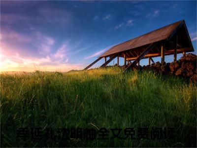 季延礼沈明柚全文免费最后一章在线阅读 季延礼沈明柚全文小说完整版