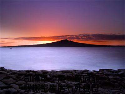 （司槿星）小说全文免费阅读_司槿星（冲喜？离府前我搬空库房气死继母）最新章节热文在线阅读