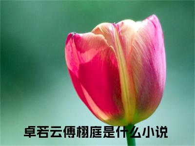 卓若云傅栩庭快手热文整理 卓若云傅栩庭小说今日更新章节