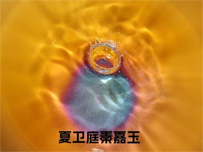 夏卫庭秦嘉玉完整版全文在线赏析-夏卫庭秦嘉玉全文在线阅读