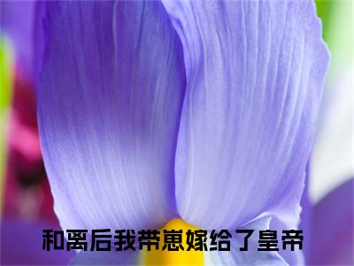 姝音顾珩小说（和离后我带崽嫁给了皇帝）全文免费阅读无弹窗大结局_姝音顾珩全文免费完结版阅读（和离后我带崽嫁给了皇帝）