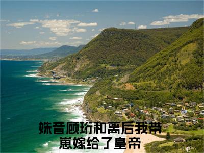 姝音顾珩是哪部小说的主角，和离后我带崽嫁给了皇帝全文在线赏析
