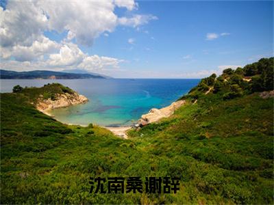 沈南桑谢辞小说最新章节（沈南桑谢辞）全文免费阅读无弹窗大结局_沈南桑谢辞小说（沈南桑谢辞小说：沈南桑谢辞）
