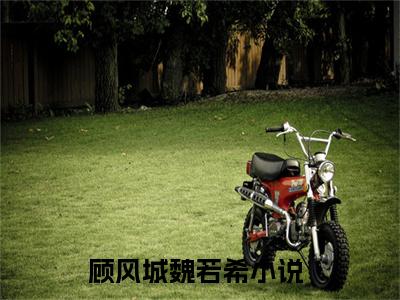 顾风城魏若希（顾风城魏若希小说）全文免费阅读无弹窗大结局_(顾风城魏若希小说免费阅读)最新章节列表