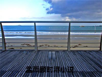 高赞小说孟雨顾时浔（孟雨顾时浔小说免费阅读）完结阅读_孟雨顾时浔小说免费阅读免费看全文