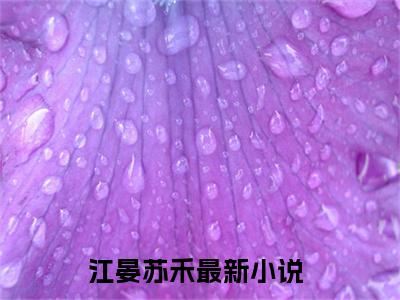 江晏苏禾(江晏苏禾)全文免费阅读无弹窗大结局_江晏苏禾最新章节列表_笔趣阁